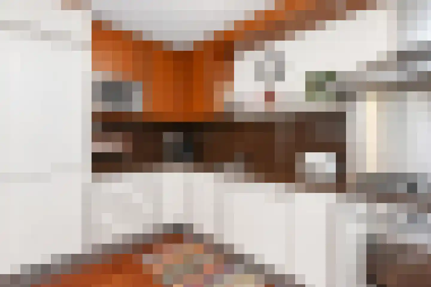 Treilerweg 8 Den Haag thumbnail 19