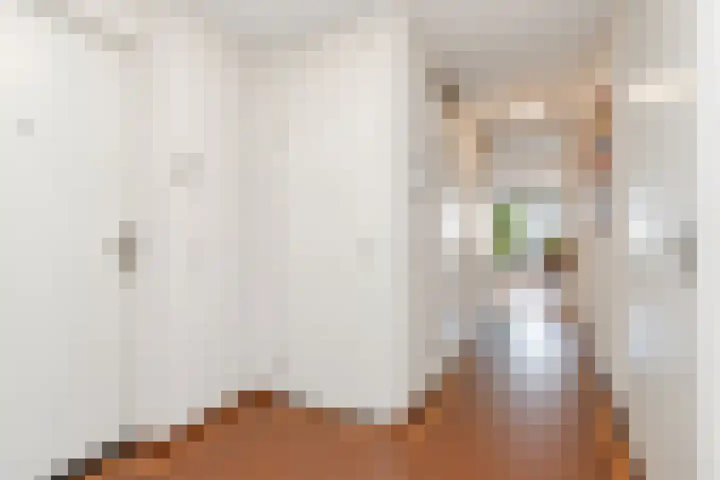 Treilerweg 8 Den Haag thumbnail 8