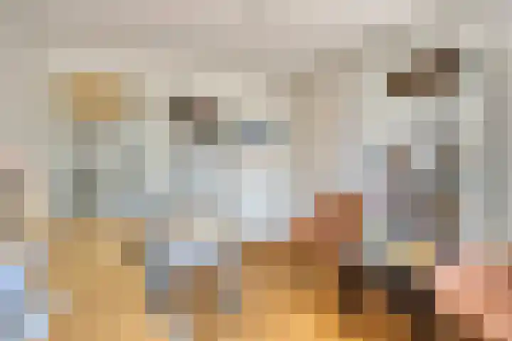 Trekbeemd 41 Oosterhout thumbnail 12