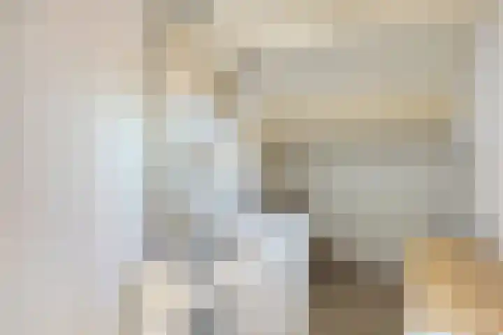 Trekbeemd 41 Oosterhout thumbnail 18