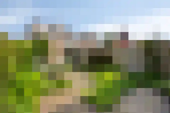 Trekbeemd 41 Oosterhout thumbnail 19