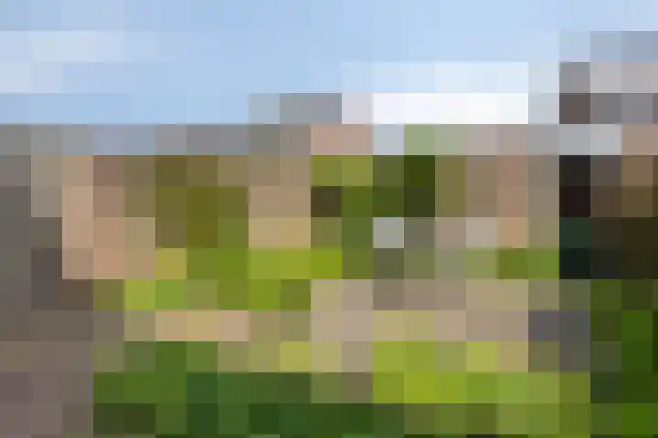 Trekbeemd 41 Oosterhout thumbnail 20