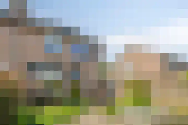 Trekbeemd 41 Oosterhout thumbnail 21