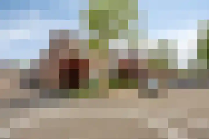 Trekbeemd 41 Oosterhout thumbnail 24