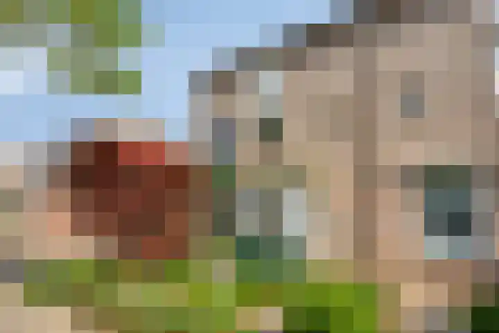Trekbeemd 41 Oosterhout thumbnail 25