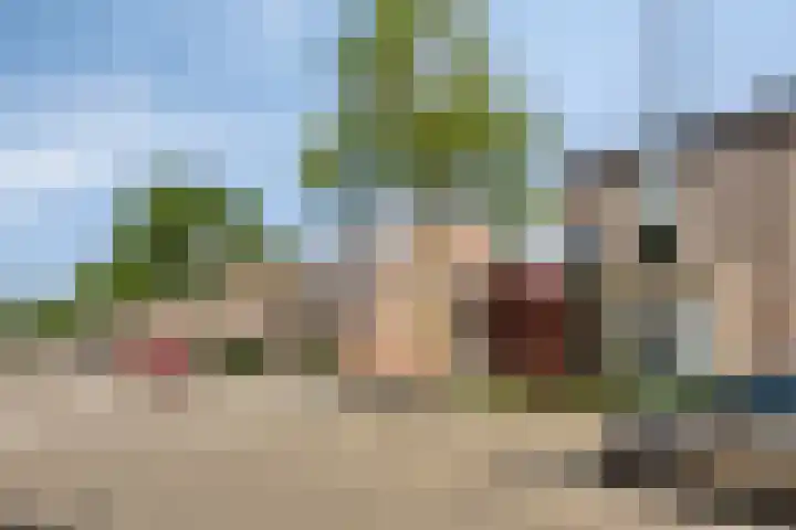 Trekbeemd 41 Oosterhout thumbnail 26