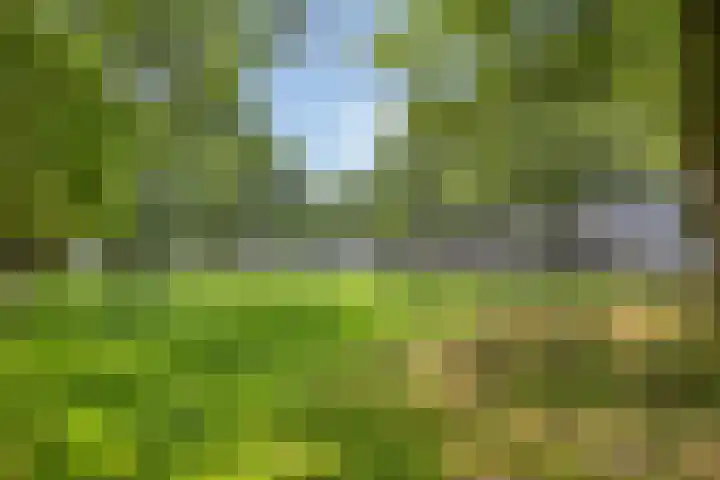 Trekbeemd 41 Oosterhout thumbnail 27