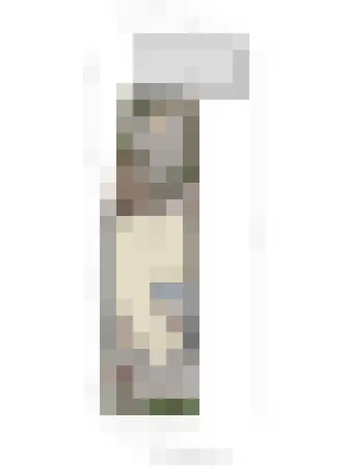 Trekbeemd 41 Oosterhout thumbnail 32