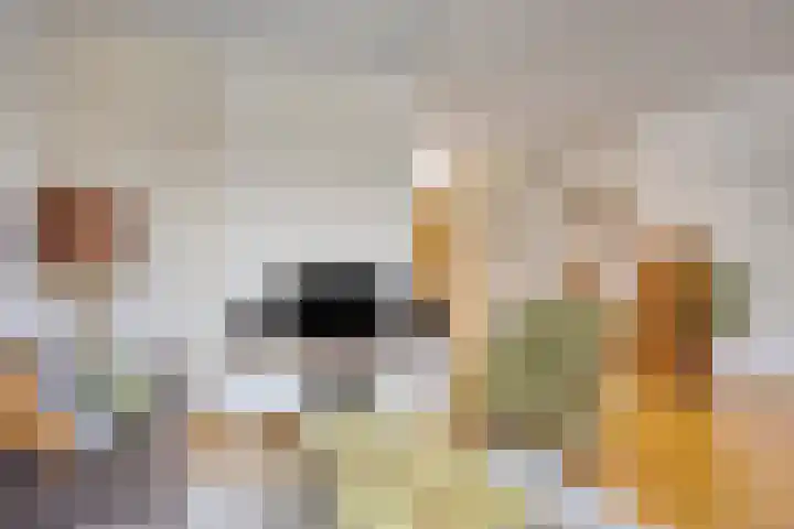 Trekbeemd 41 Oosterhout thumbnail 4