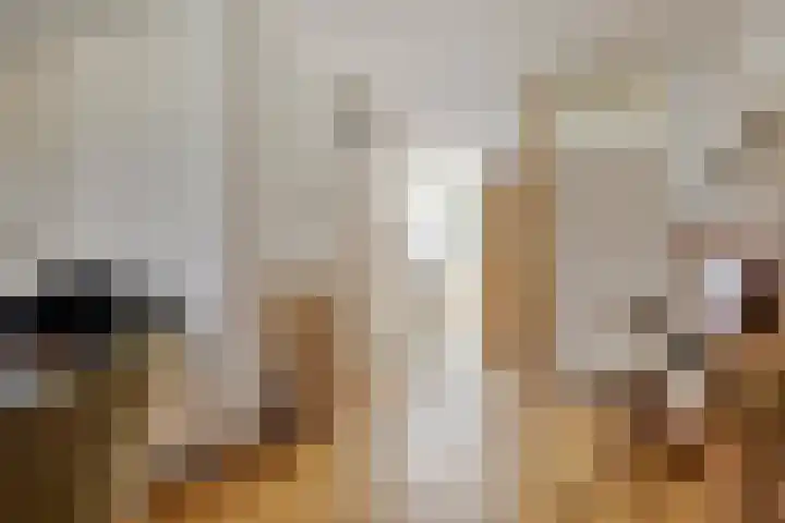 Trekbeemd 41 Oosterhout thumbnail 5