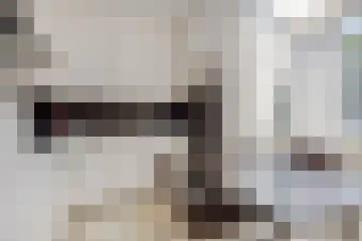 Trekbeemd 41 Oosterhout thumbnail 6