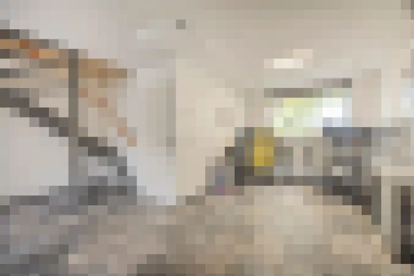 Trekbeemd 73 Oosterhout thumbnail 12