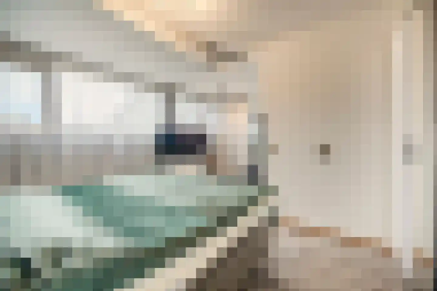 Trekbeemd 73 Oosterhout thumbnail 15