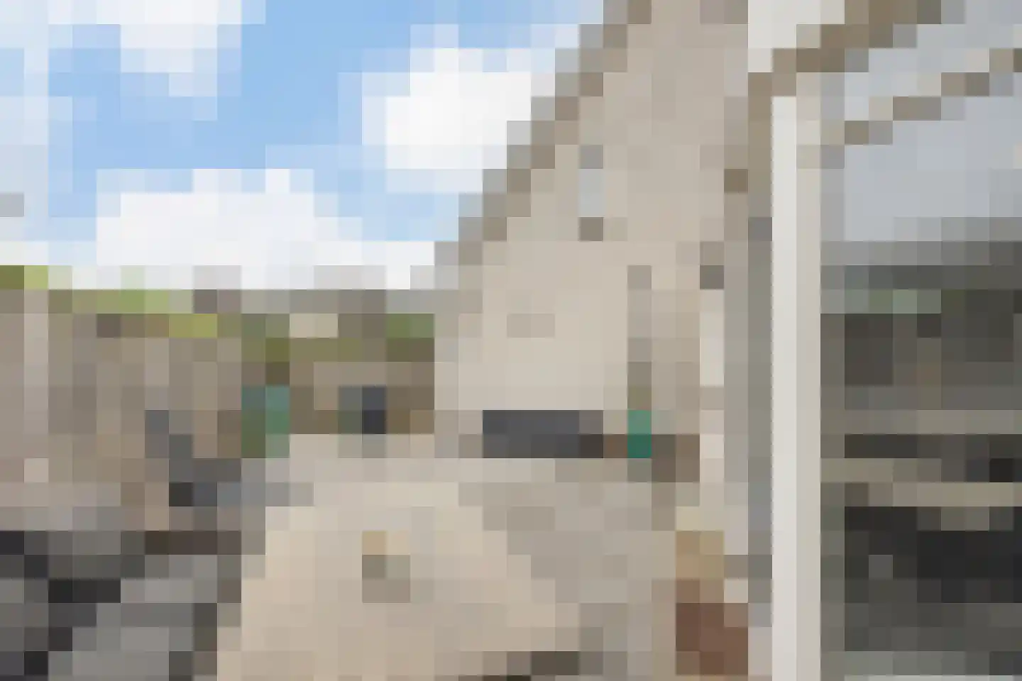 Trekbeemd 73 Oosterhout thumbnail 26