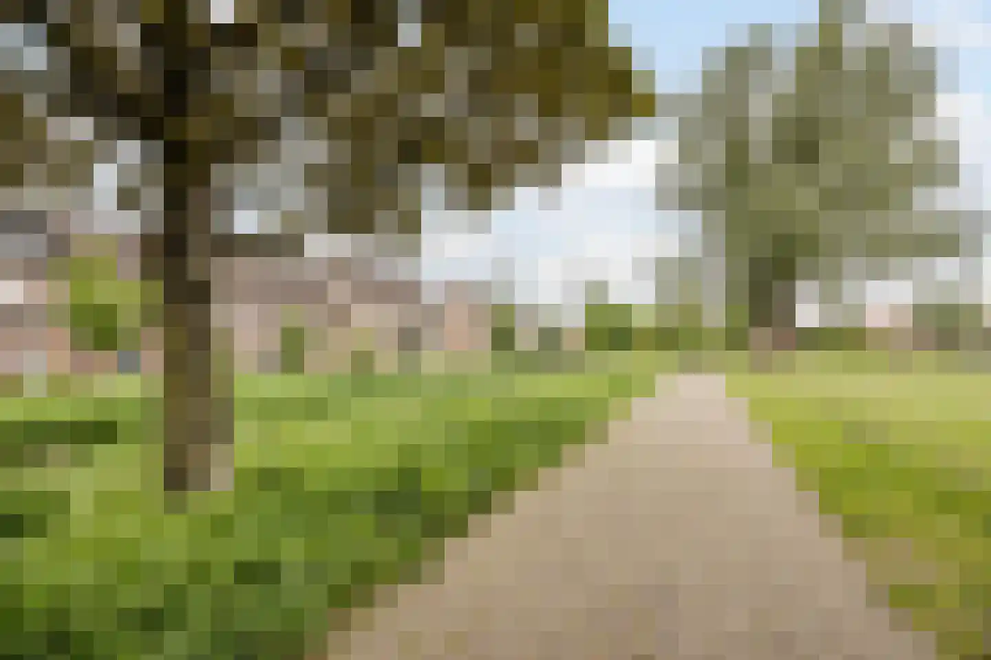 Trekbeemd 73 Oosterhout thumbnail 30