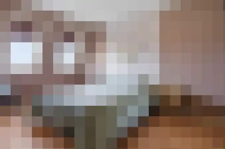 Trekker 29 Heerenveen thumbnail 17