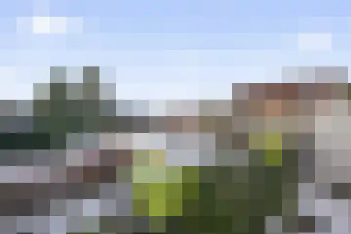 Trekker 29 Heerenveen thumbnail 29