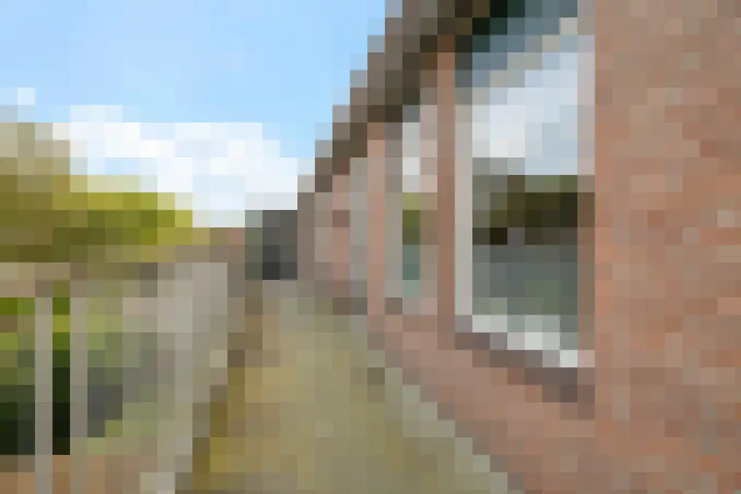 Trekker 31 Heerenveen thumbnail 26