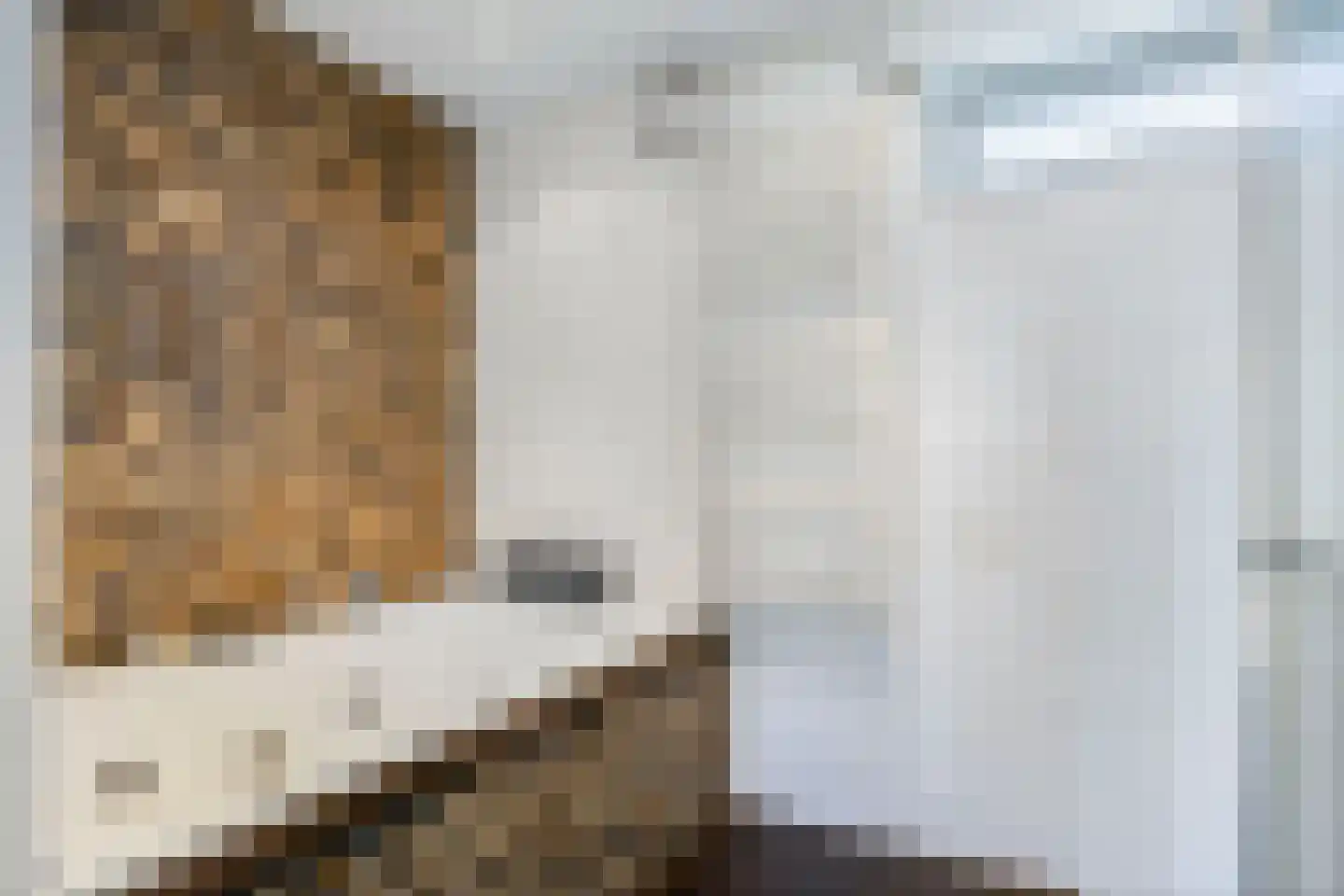 Trekker 37 Heerenveen thumbnail 24