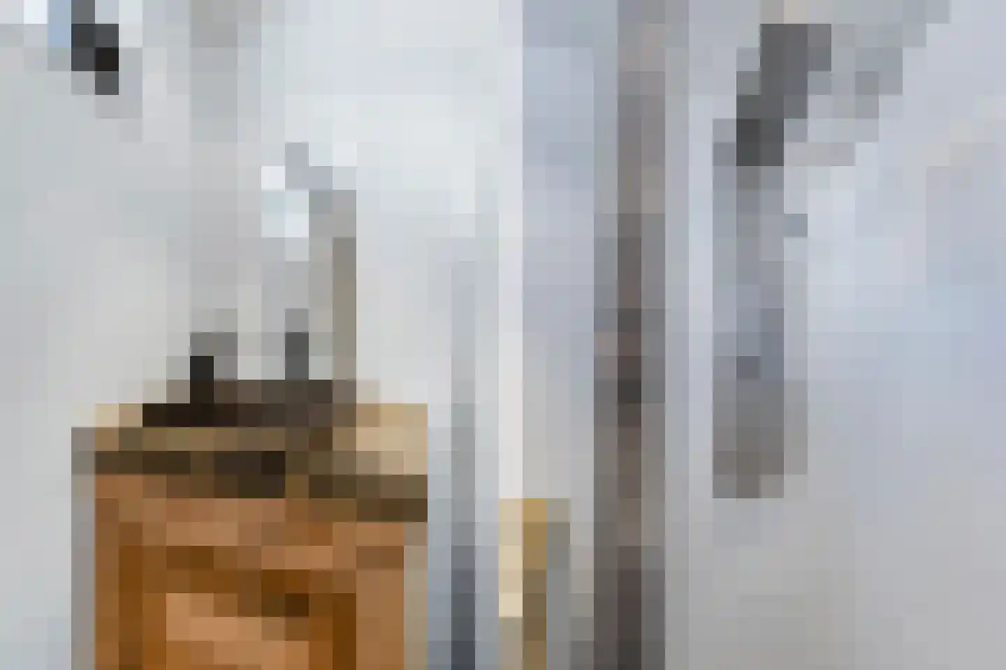 Trekker 37 Heerenveen thumbnail 25