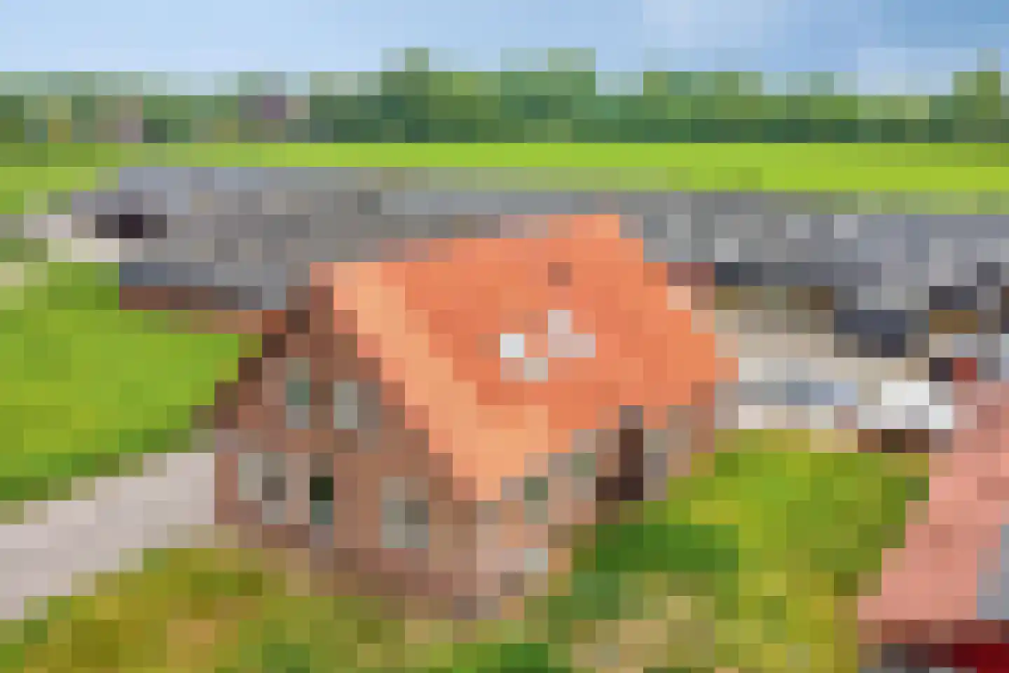 Trekkersweg 2 Mariënvelde thumbnail 10