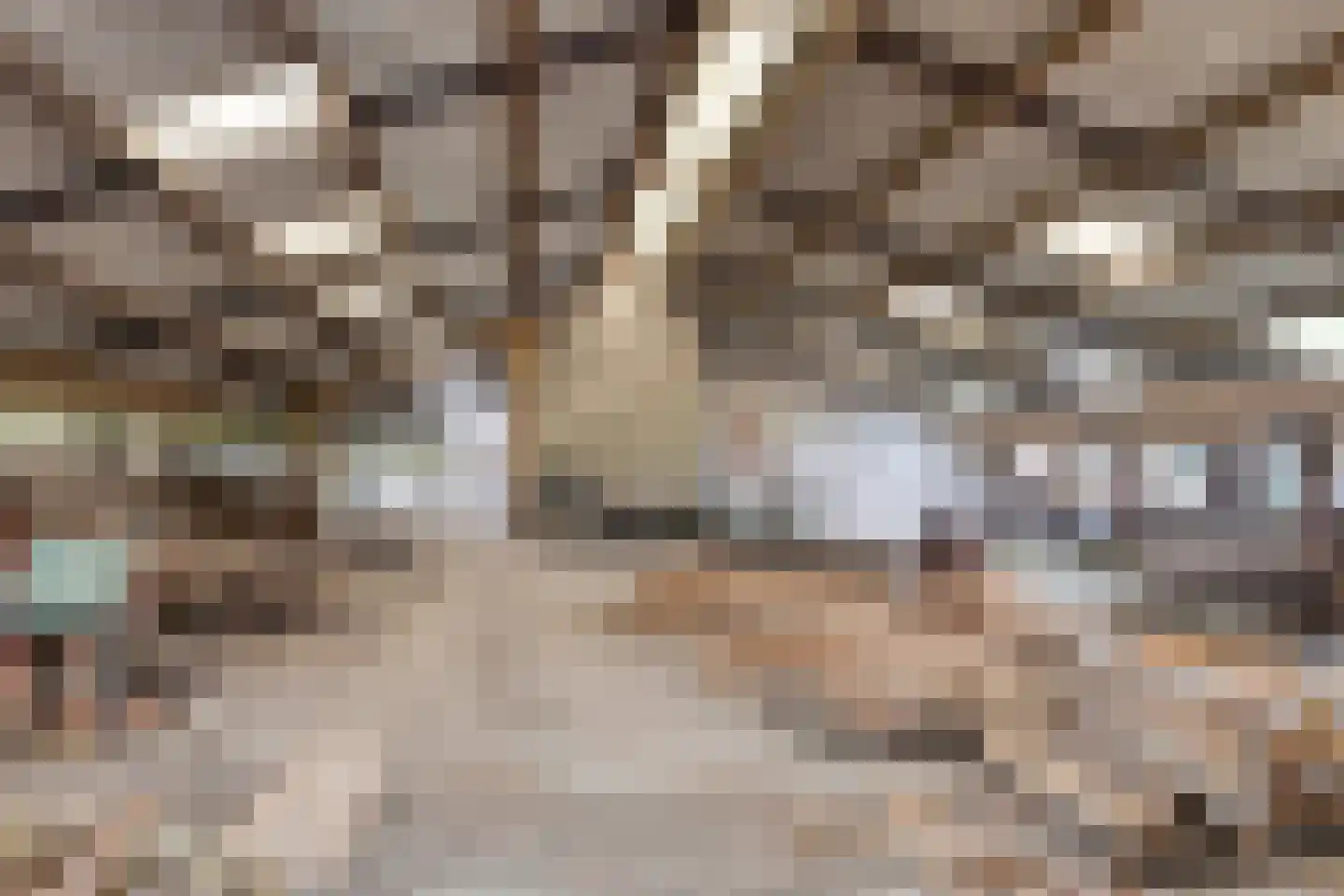 Trekkersweg 2 Mariënvelde thumbnail 39