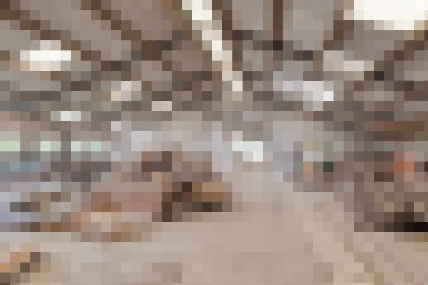 Trekkersweg 2 Mariënvelde thumbnail 40