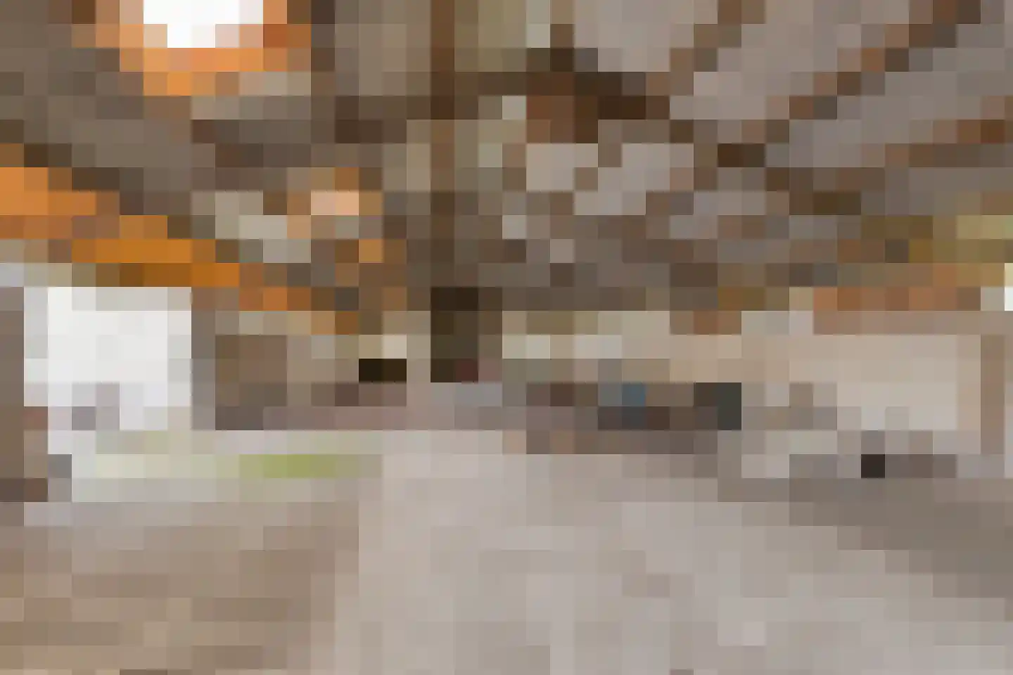 Trekkersweg 2 Mariënvelde thumbnail 41