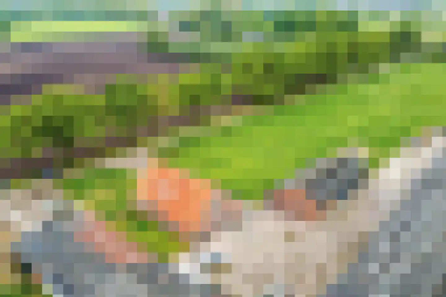 Trekkersweg 2 Mariënvelde thumbnail 8