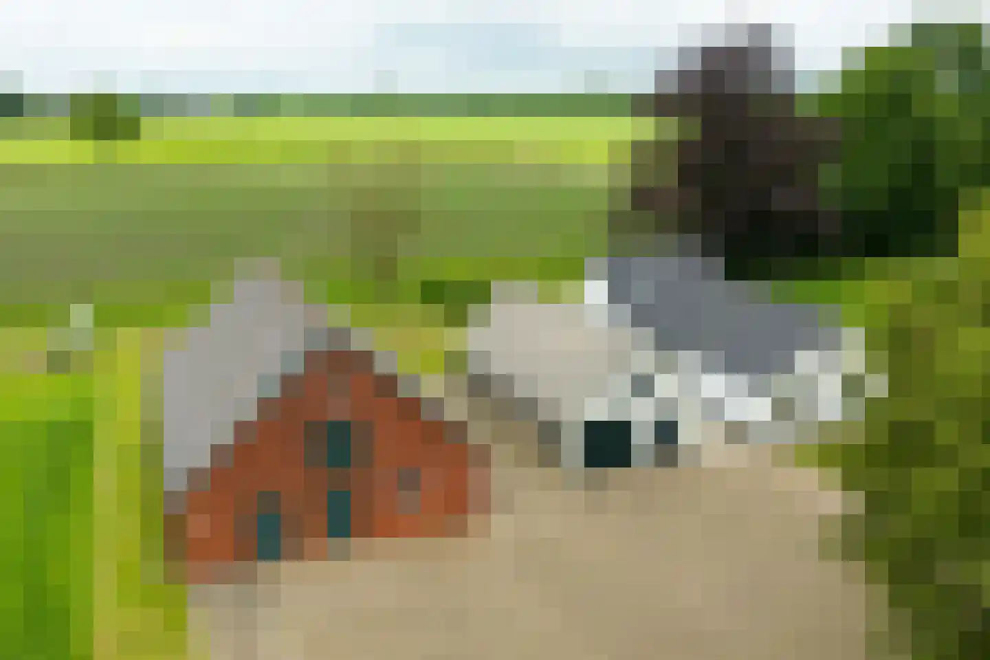 Trekkersweg 4 Mariënvelde thumbnail 12