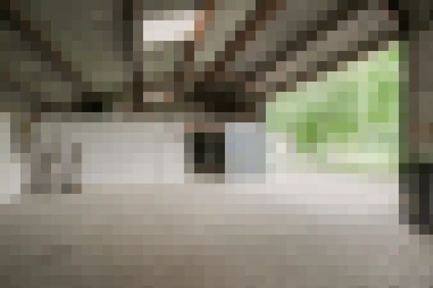 Trekkersweg 4 Mariënvelde thumbnail 39