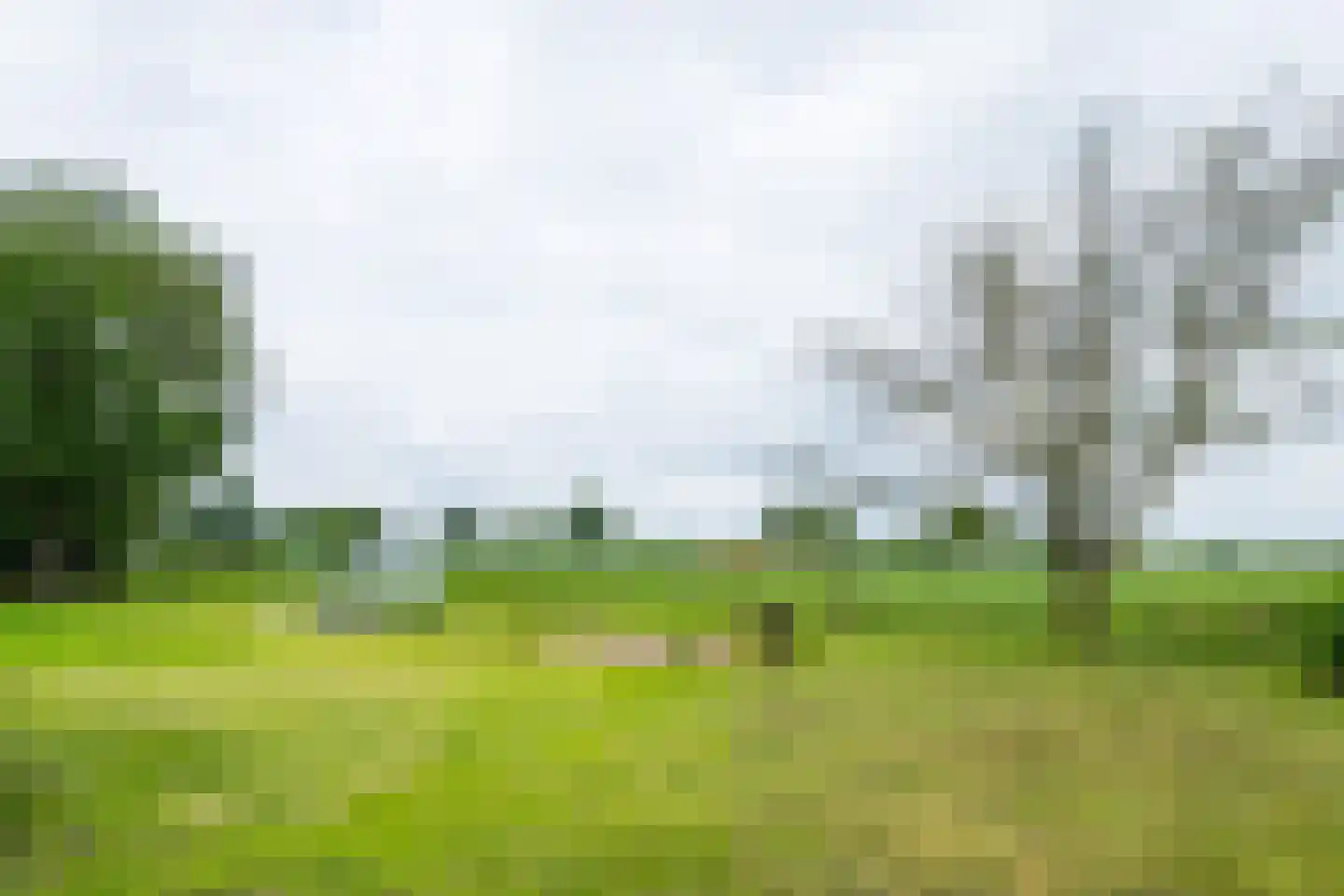 Trekkersweg 4 Mariënvelde thumbnail 5