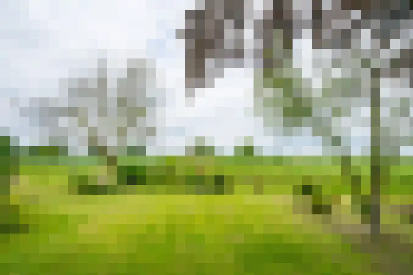 Trekkersweg 4 Mariënvelde thumbnail 50