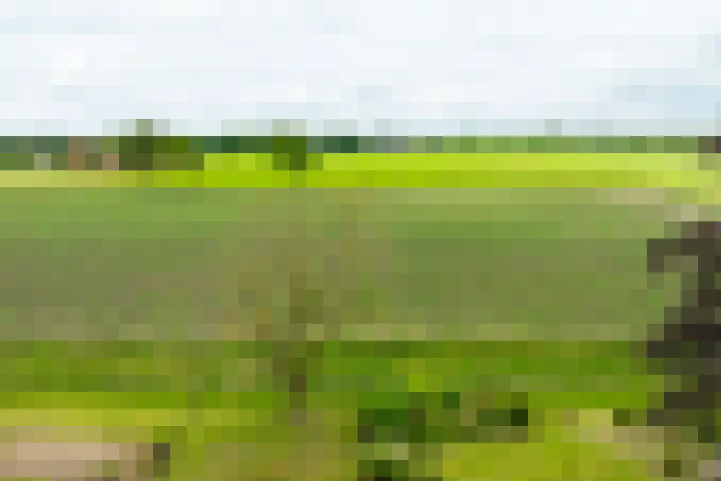 Trekkersweg 4 Mariënvelde thumbnail 51