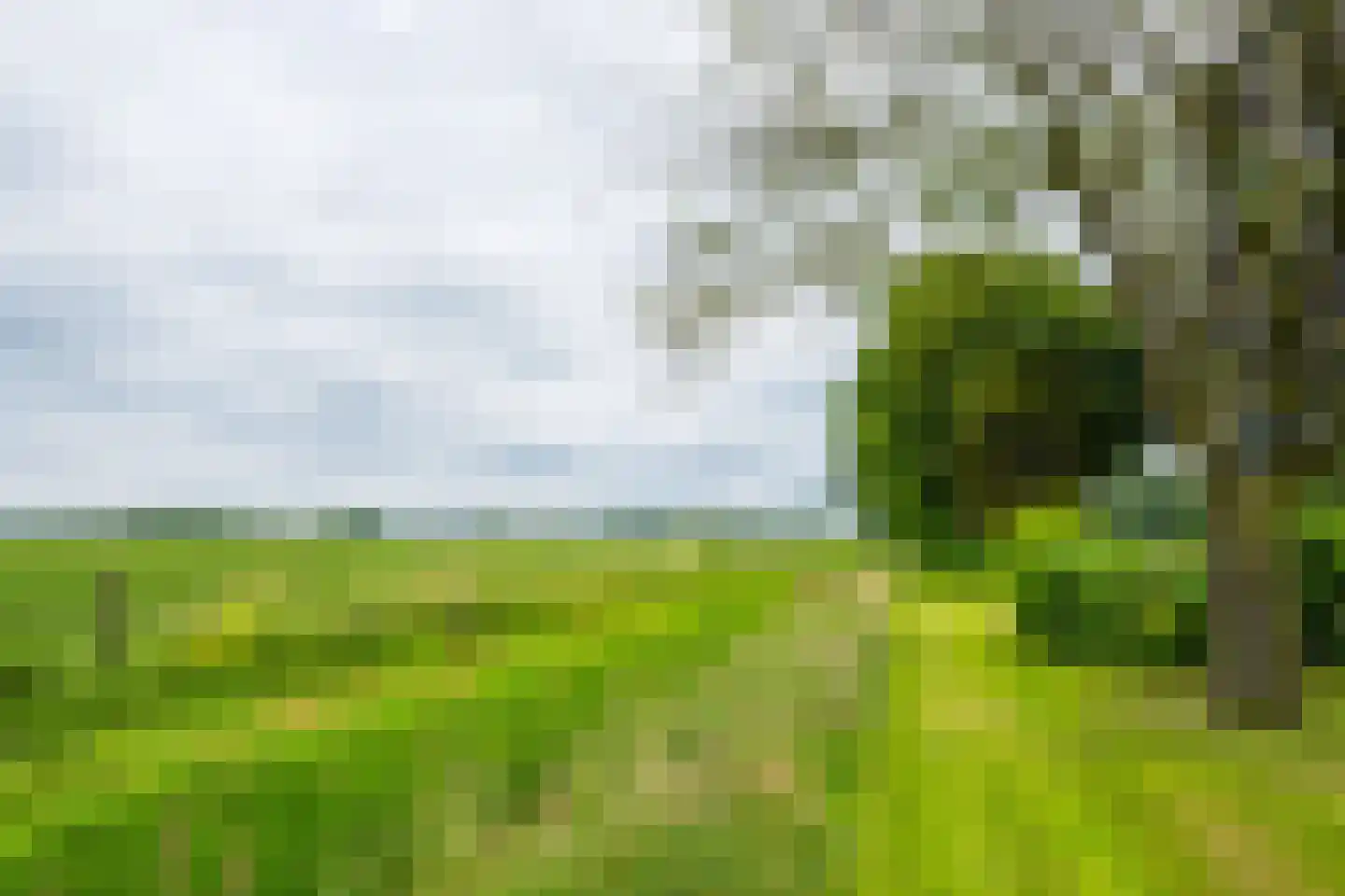Trekkersweg 4 Mariënvelde thumbnail 52