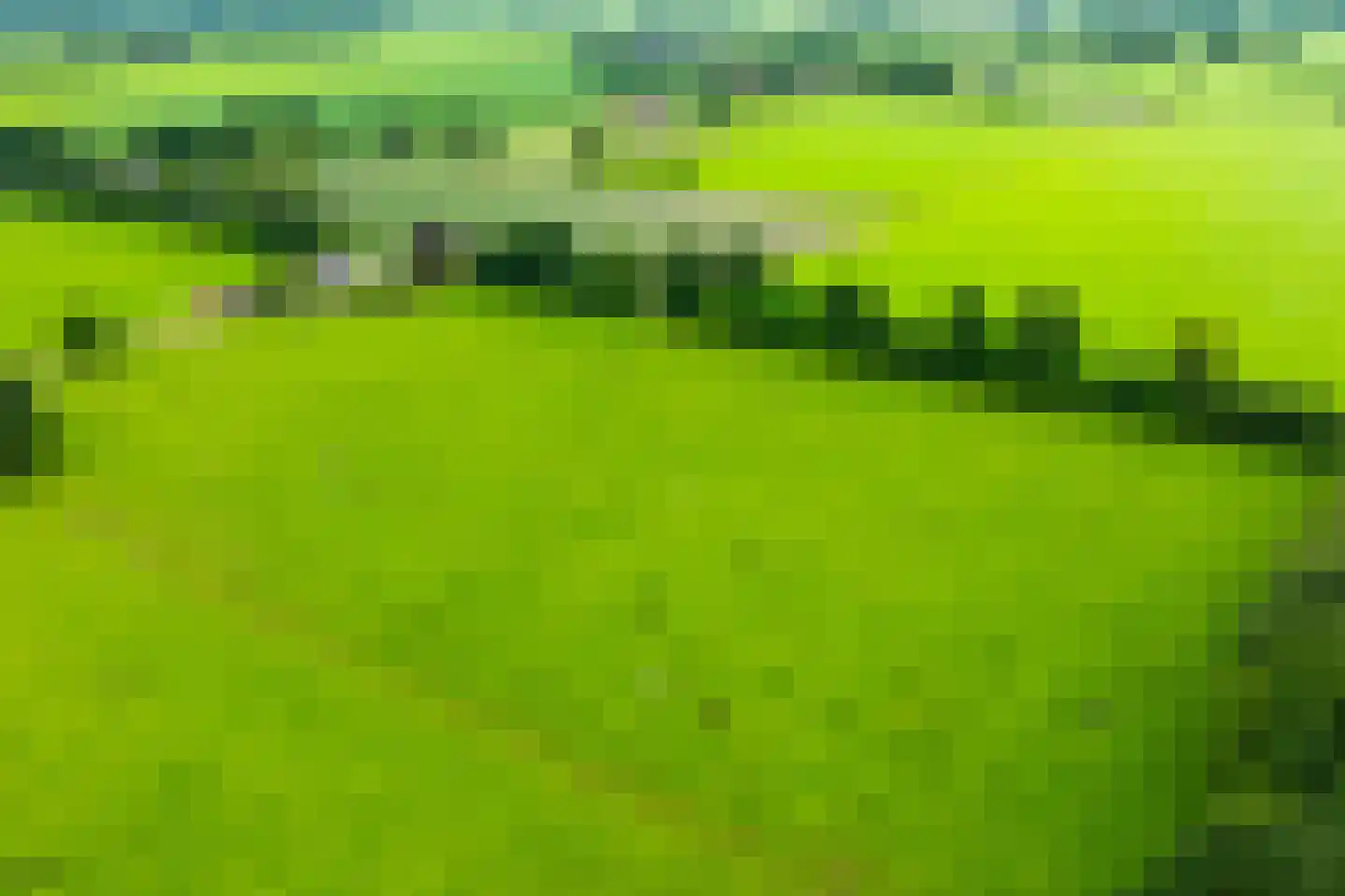 Trekkersweg 4 Mariënvelde thumbnail 53