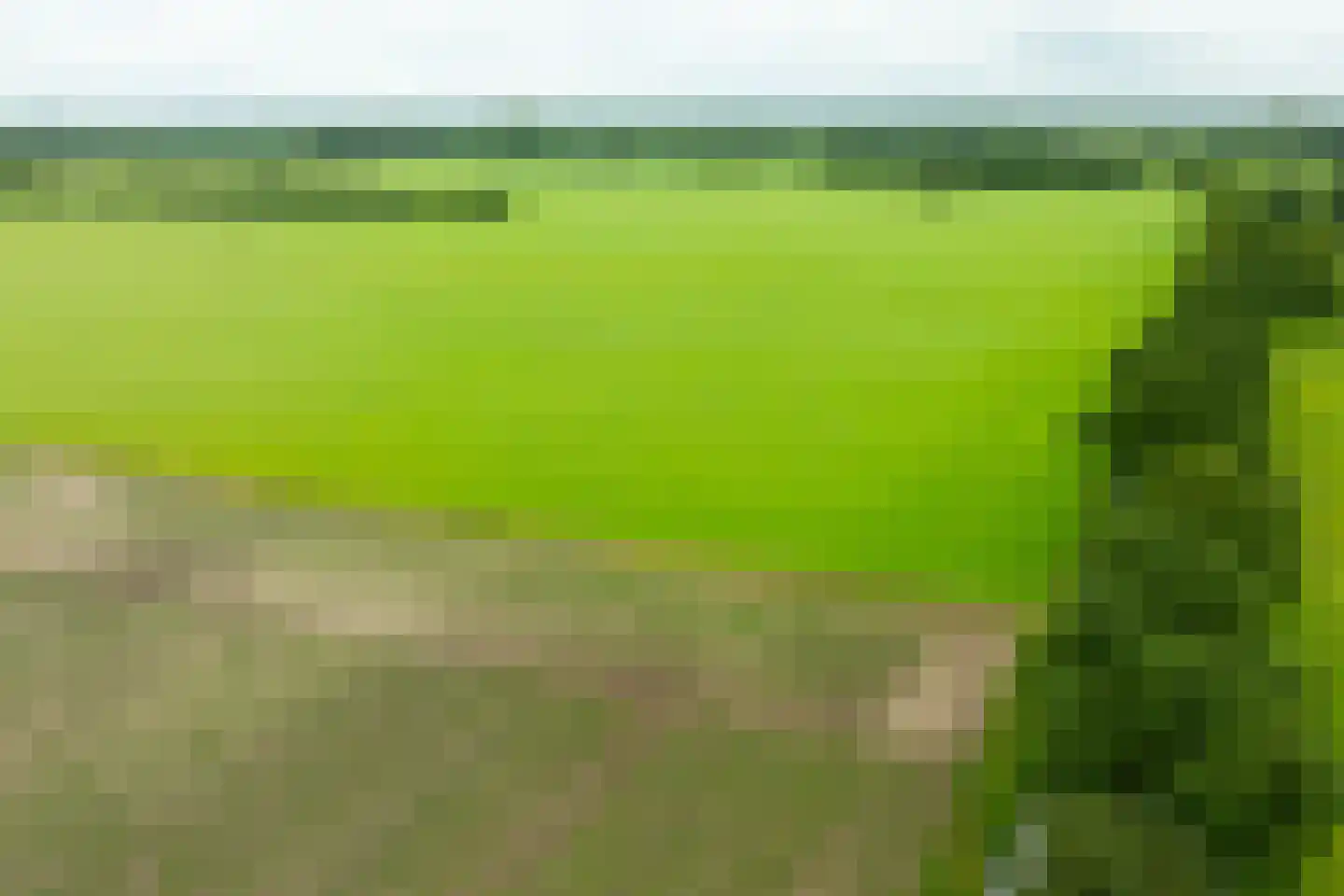 Trekkersweg 4 Mariënvelde thumbnail 55