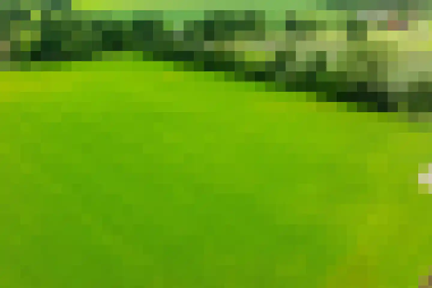 Trekkersweg 4 Mariënvelde thumbnail 56