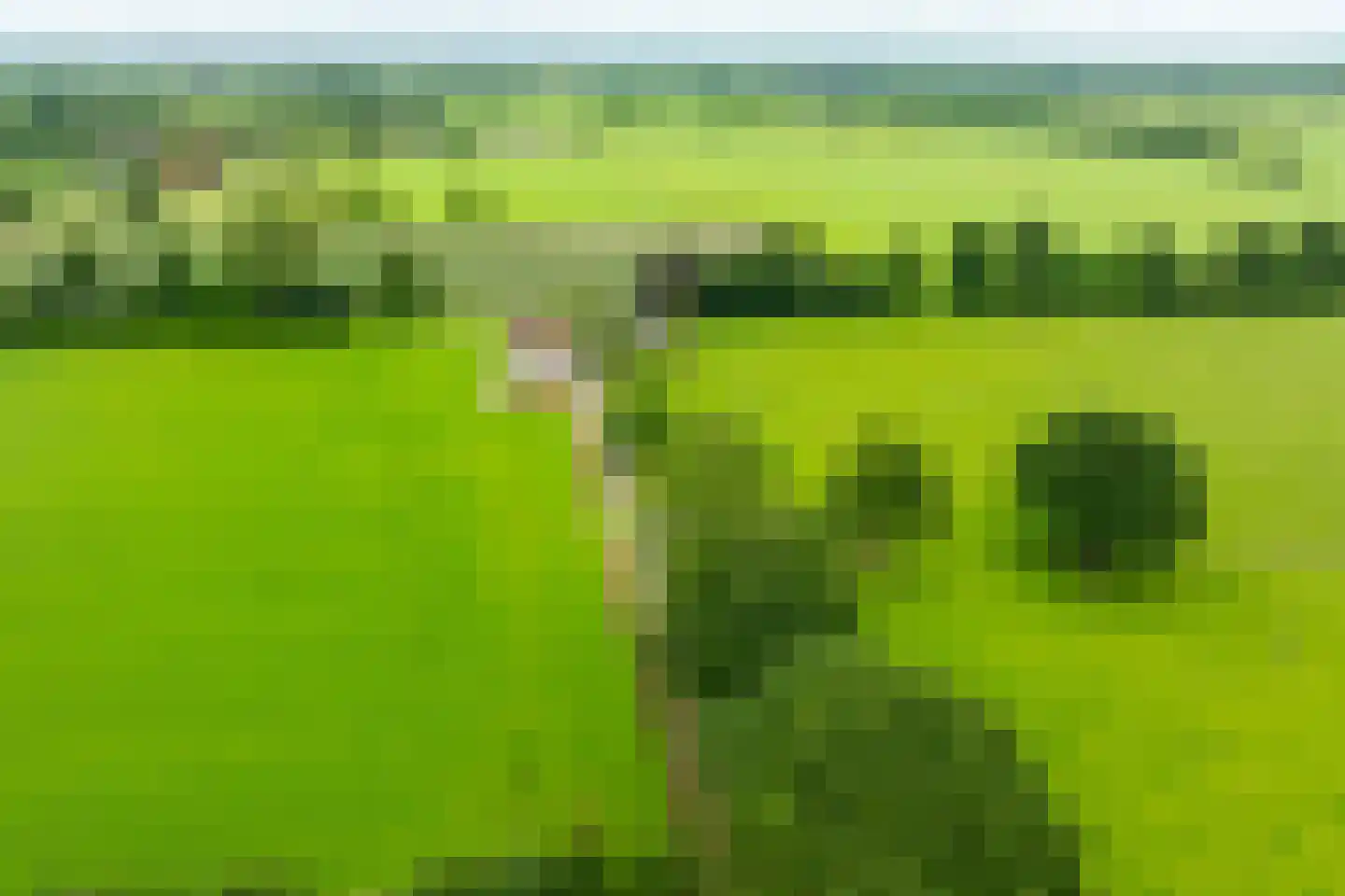Trekkersweg 4 Mariënvelde thumbnail 6