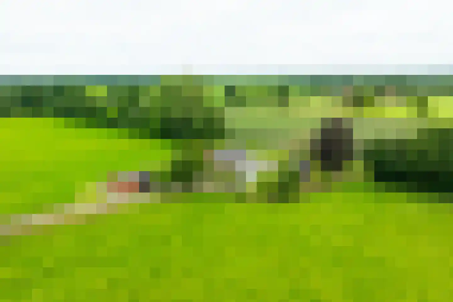 Trekkersweg 4 Mariënvelde thumbnail 7