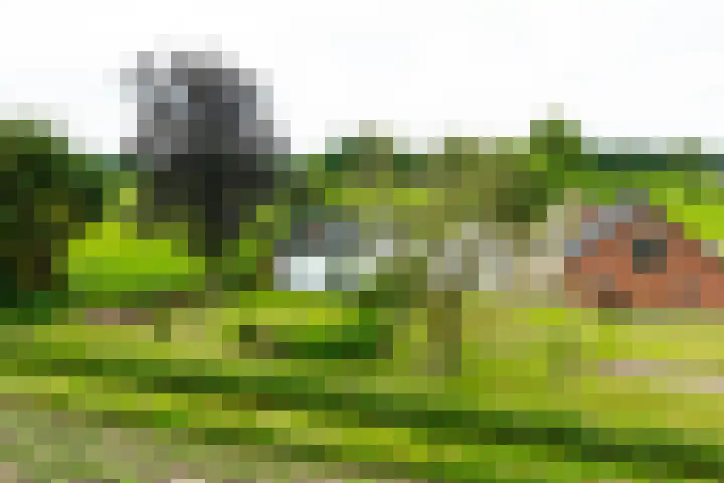 Trekkersweg 4 Mariënvelde thumbnail 8