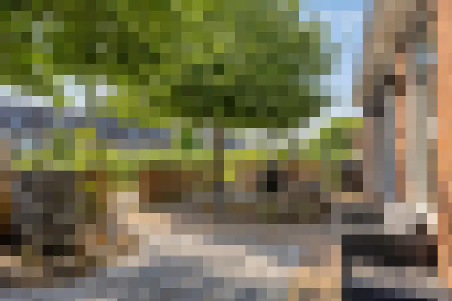 Trekpad 14 Appingedam thumbnail 15