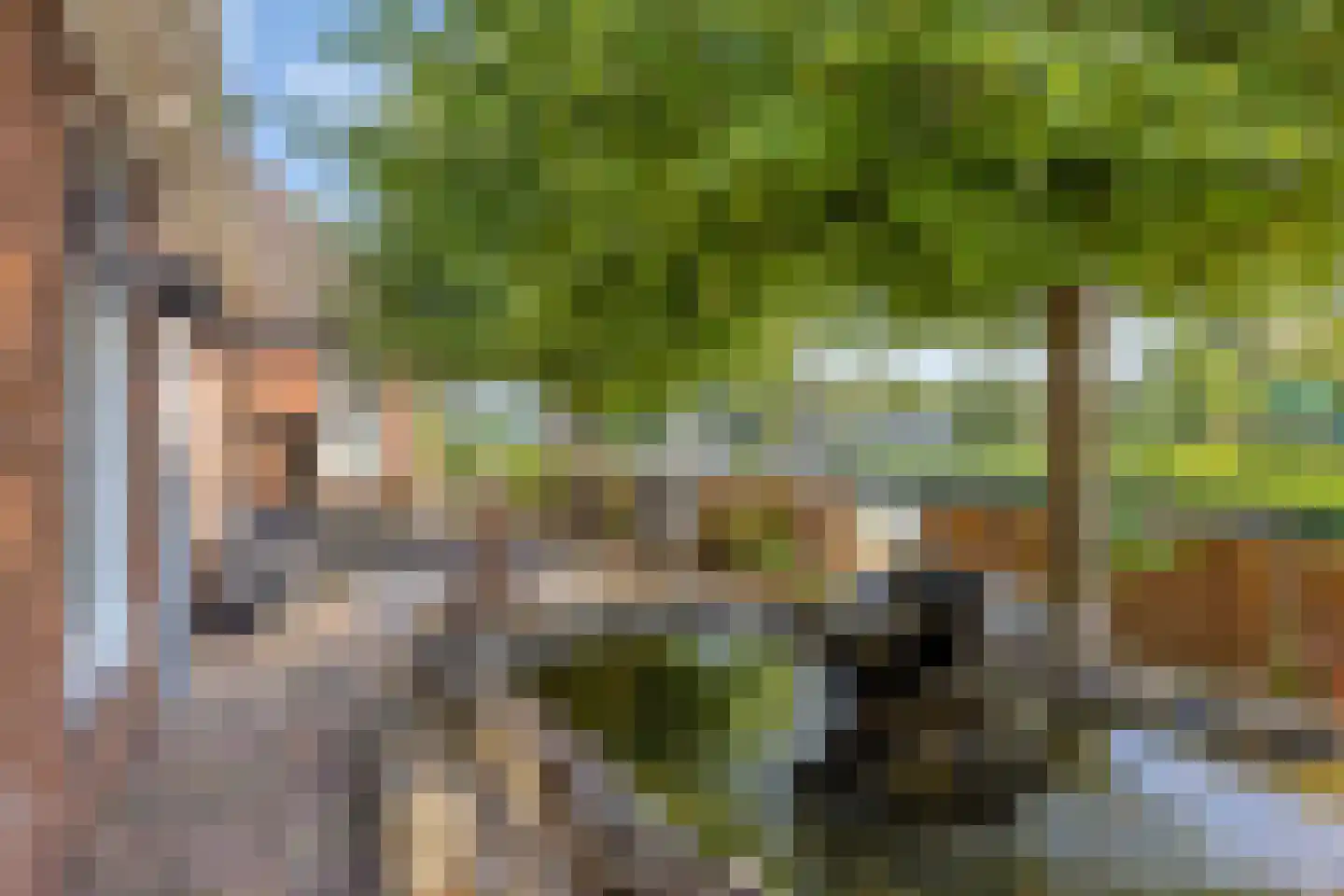 Trekpad 14 Appingedam thumbnail 16