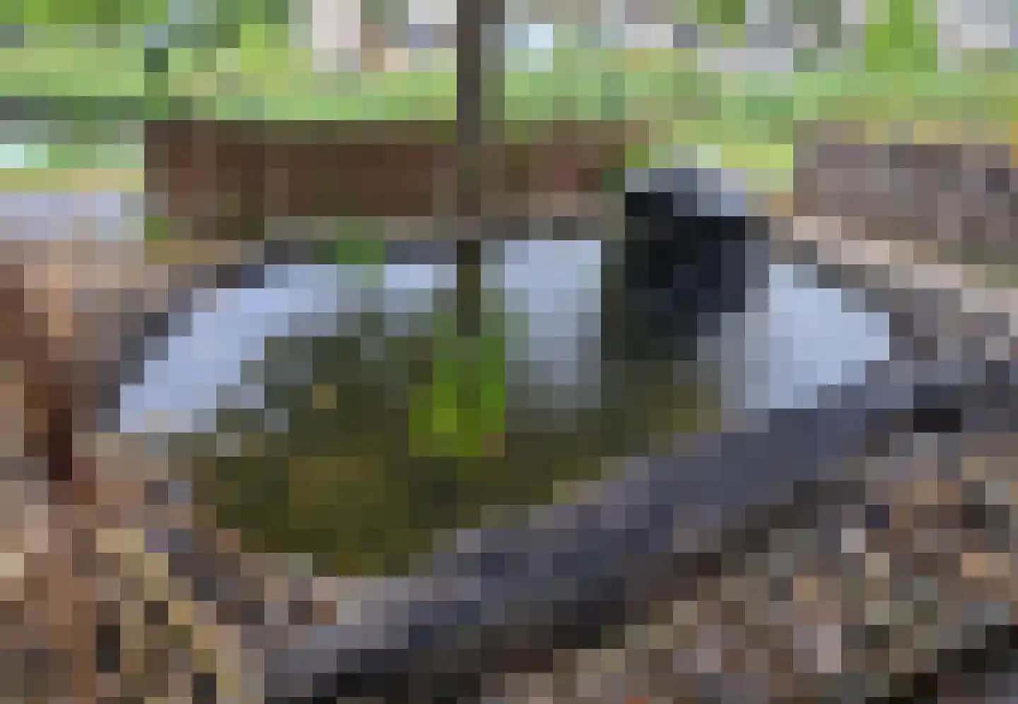 Trekpad 14 Appingedam thumbnail 17