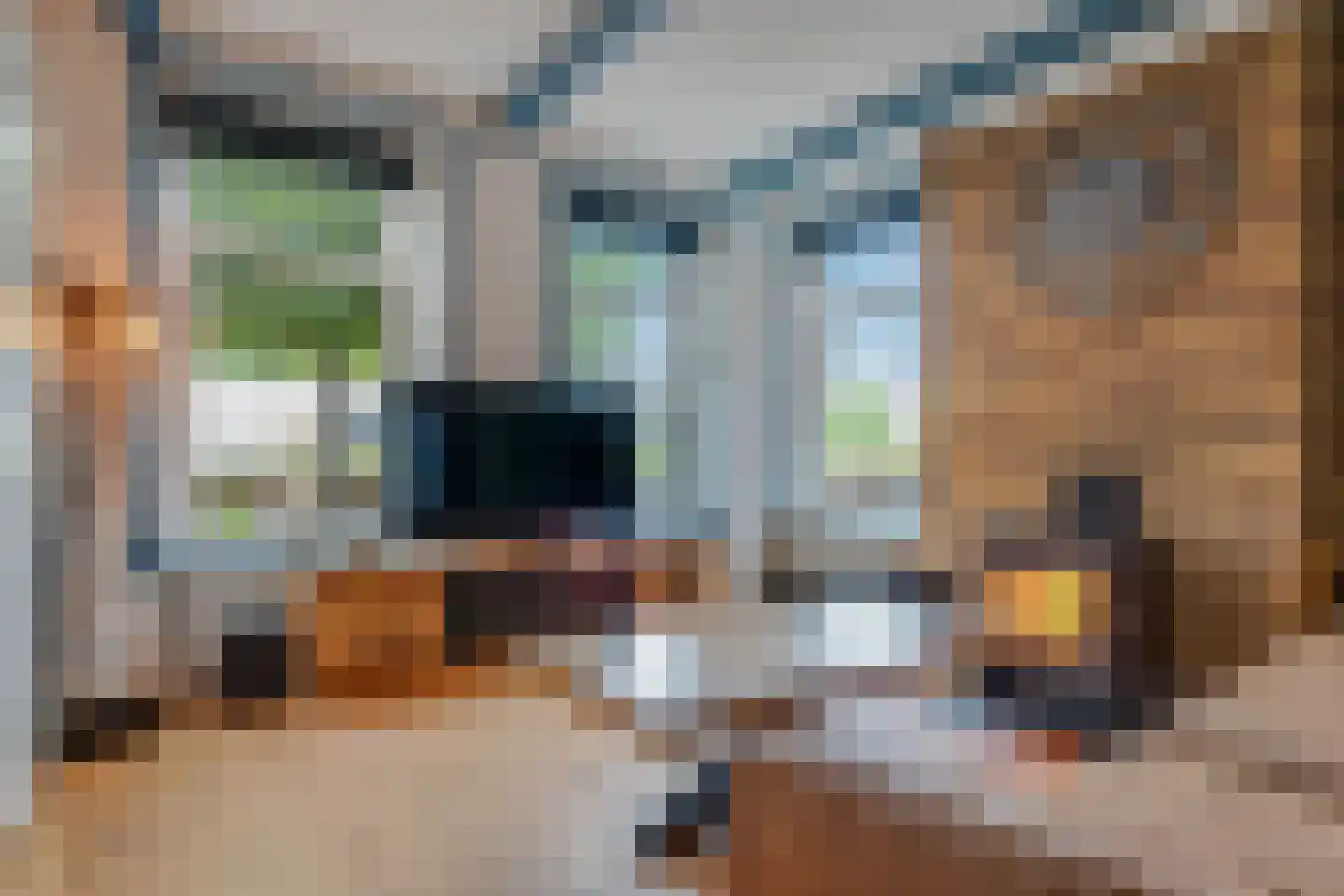 Trekpad 14 Appingedam thumbnail 20
