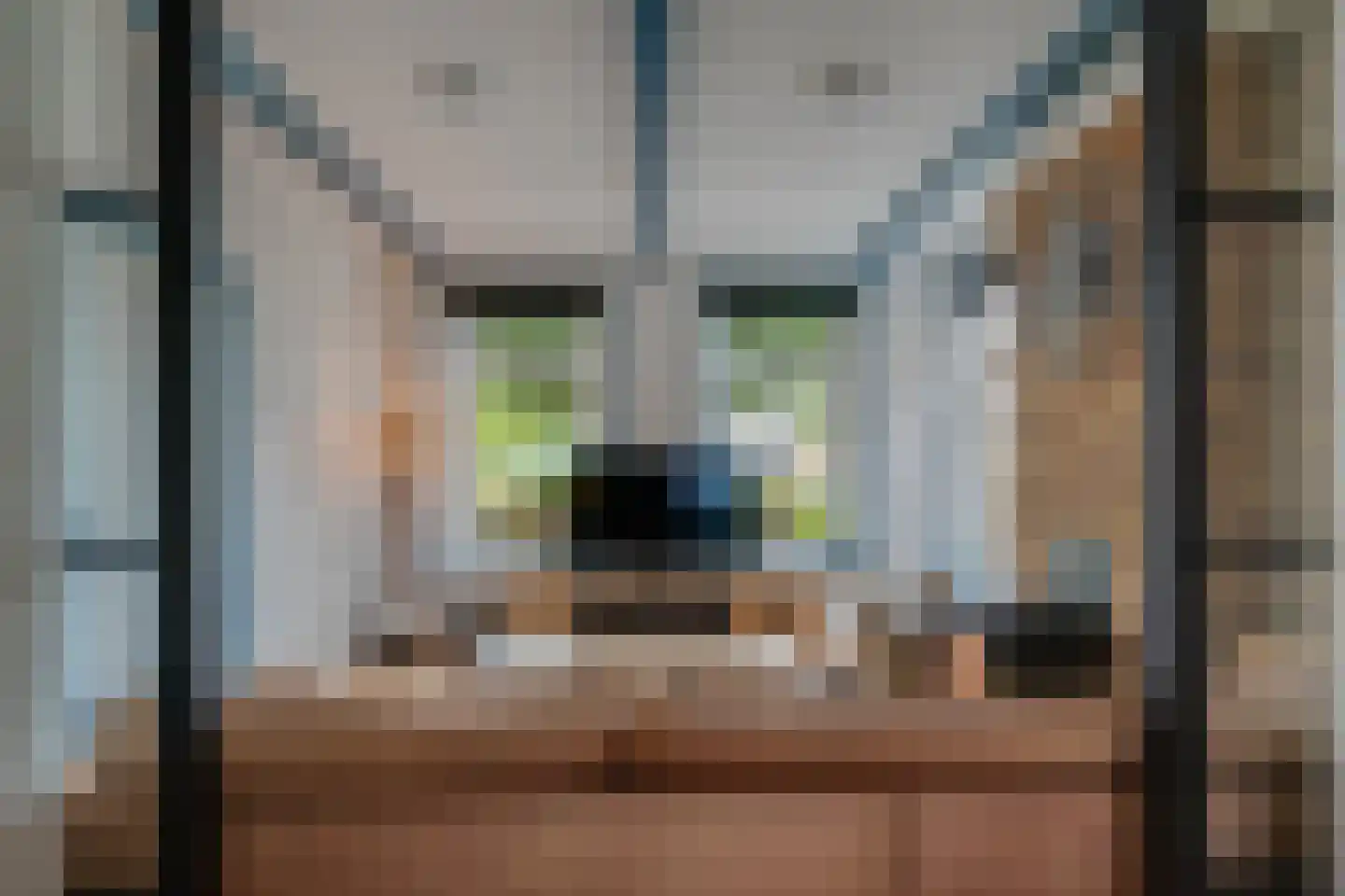 Trekpad 14 Appingedam thumbnail 24