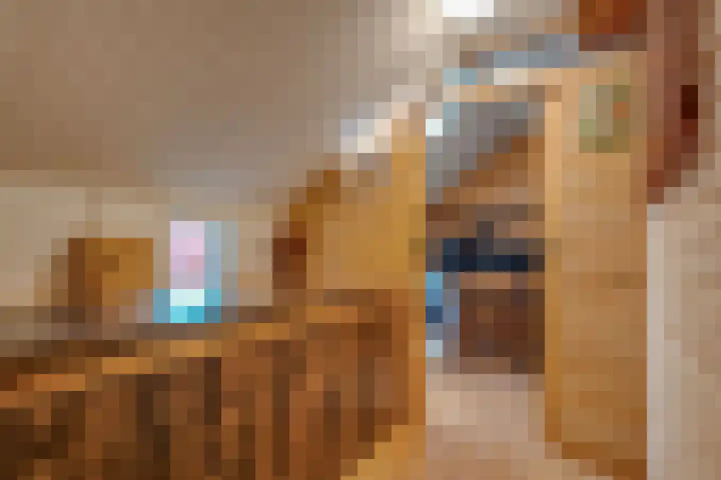 Trekpad 14 Appingedam thumbnail 34