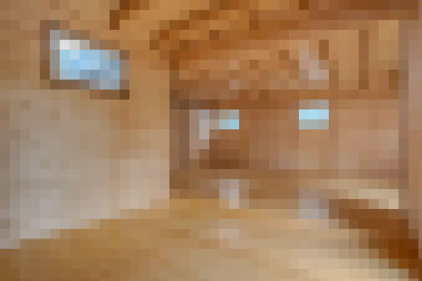 Trekpad 14 Appingedam thumbnail 35