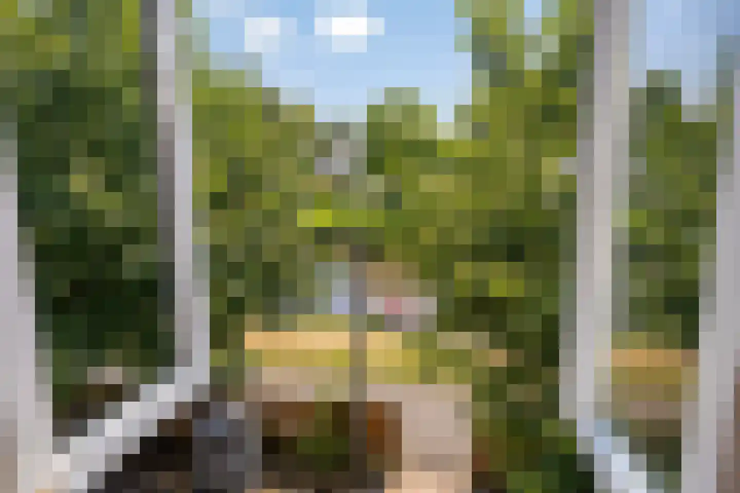 Trekpad 14 Appingedam thumbnail 48