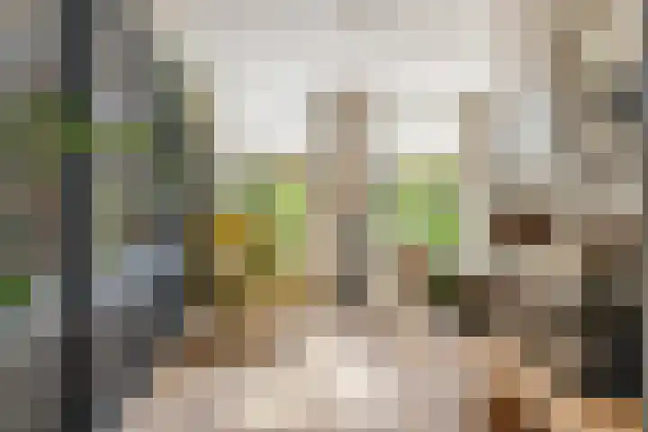 Trekpad 30 Burgwerd thumbnail 19